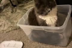 363926792_230913962715284_5127698255299292007_n