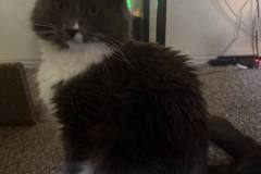 364170333_933002367790388_8405104192726845651_n