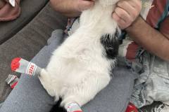 364170337_300830452473417_6056422271377448524_n