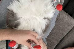 364172237_177058625383004_1746847737912050828_n