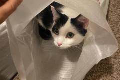 364175357_244946751686745_3883969512050437226_n