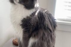 364181293_1462534664501962_6971843840715327369_n