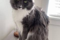 364189764_811080684015434_8670976778926154586_n