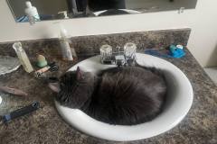 364195362_6567161480069425_4952346955160070919_n