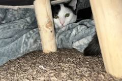 364198787_608962237893222_4689820441329131034_n