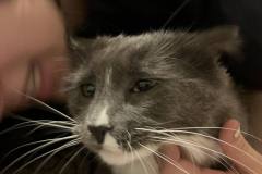 364201454_303320675398450_7254919250142527810_n