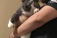 364220282_805142021271372_3966471402072960221_n