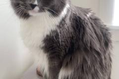 364225049_749665023579359_6198554456286119571_n